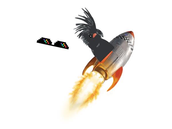 Raket met vogel