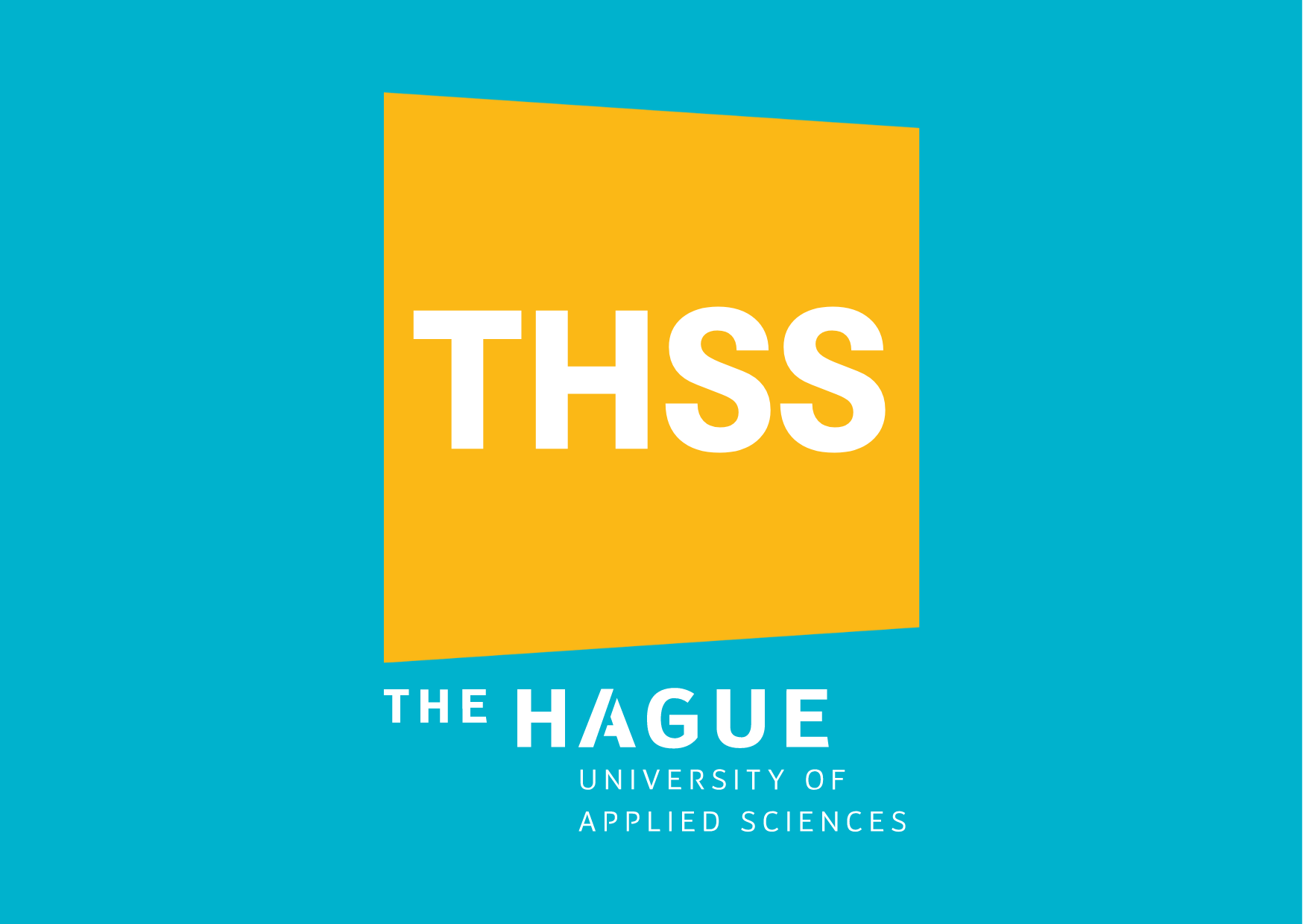 The Hague Summer School