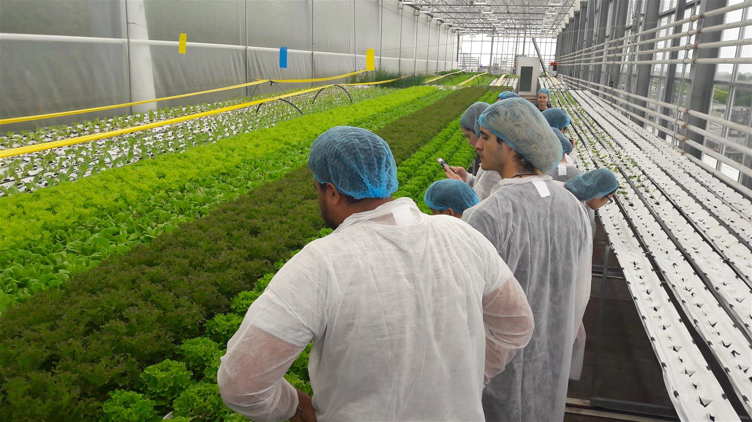 Two guy students at an urban farm