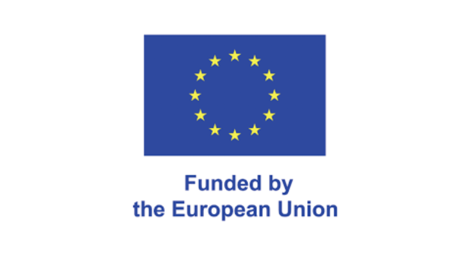 funded by the European Union logo
