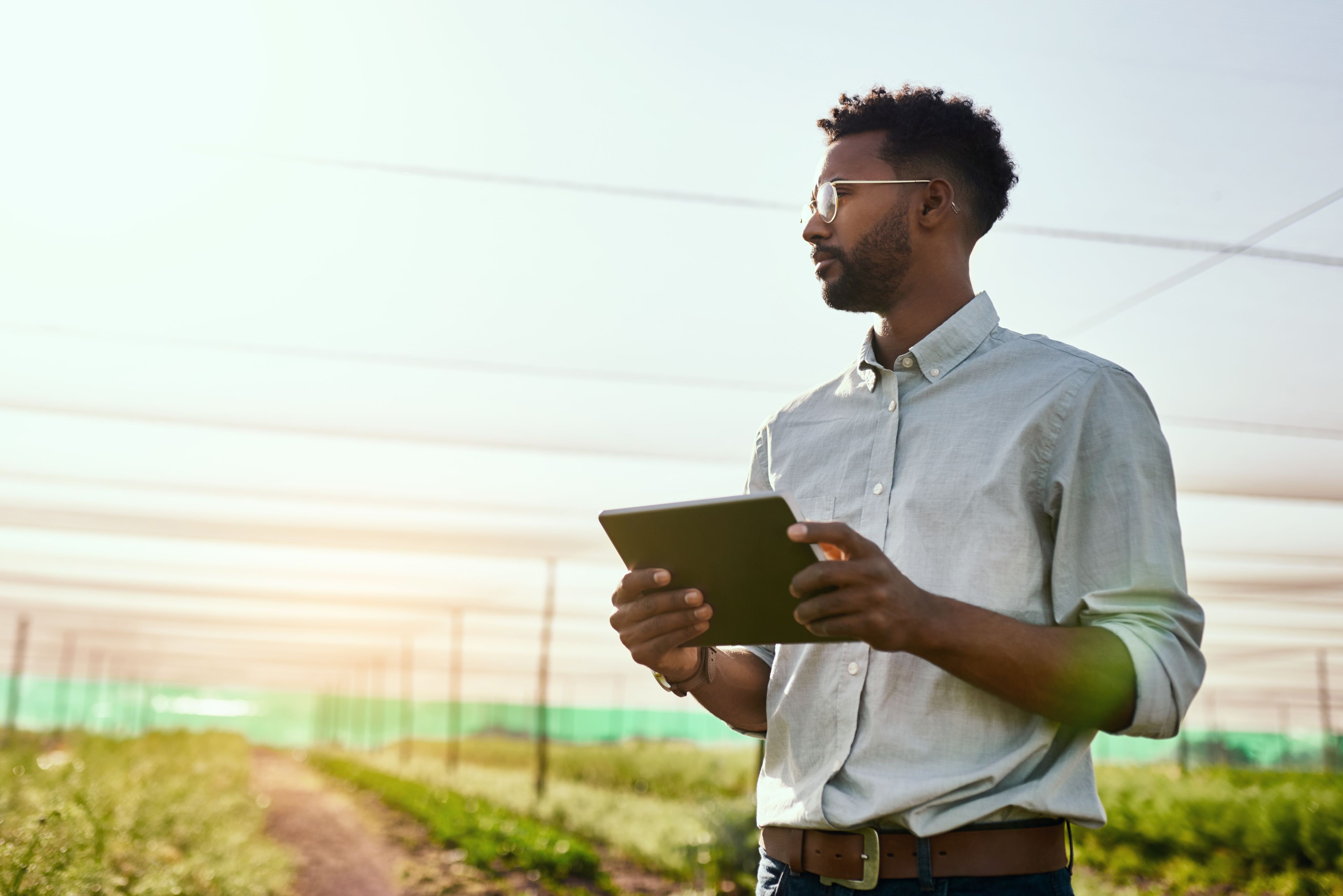 Man met ipad staat in een kas tussen planten
