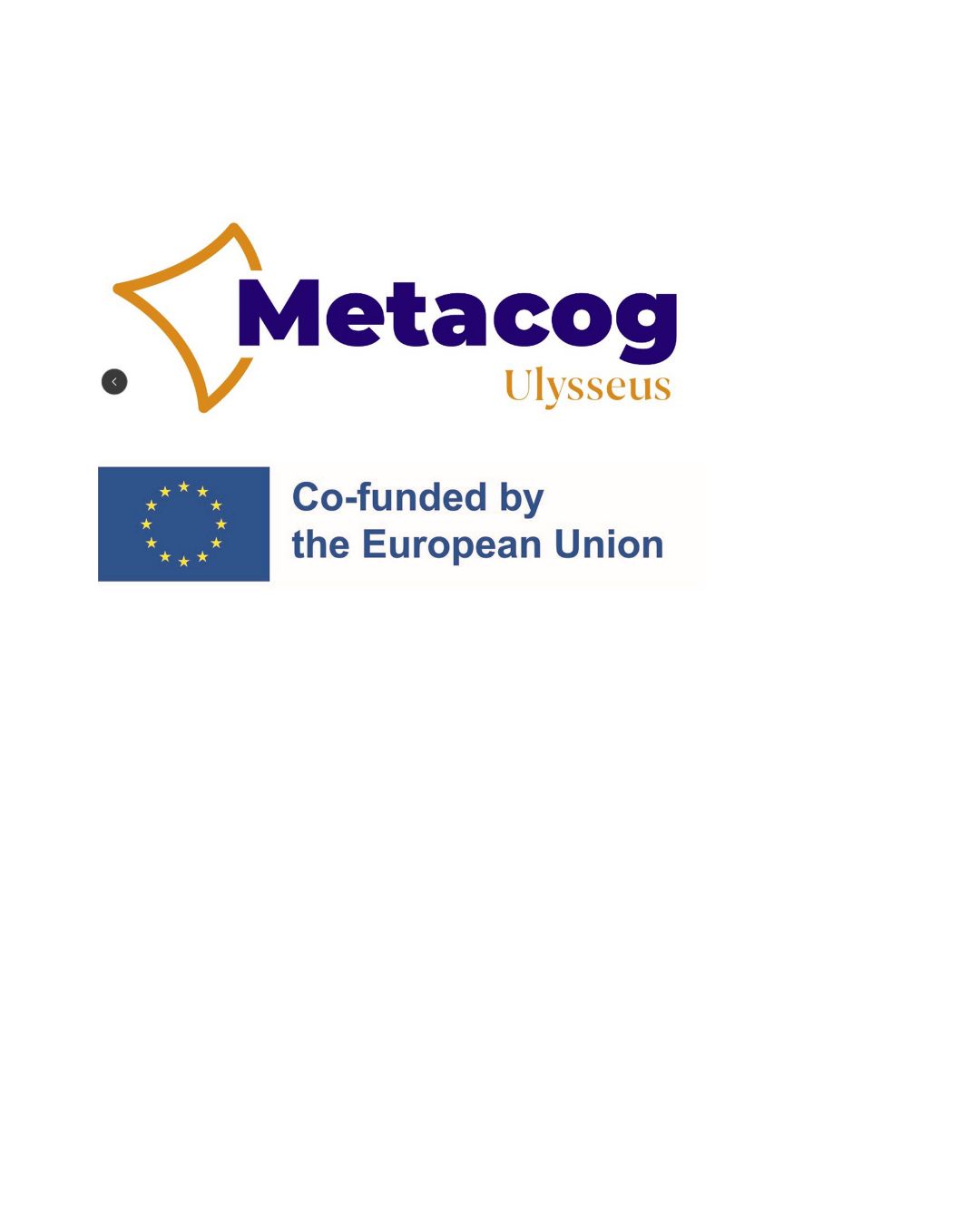 METACOG: AI Literacy and the fight Against disinformation | The Hague ...