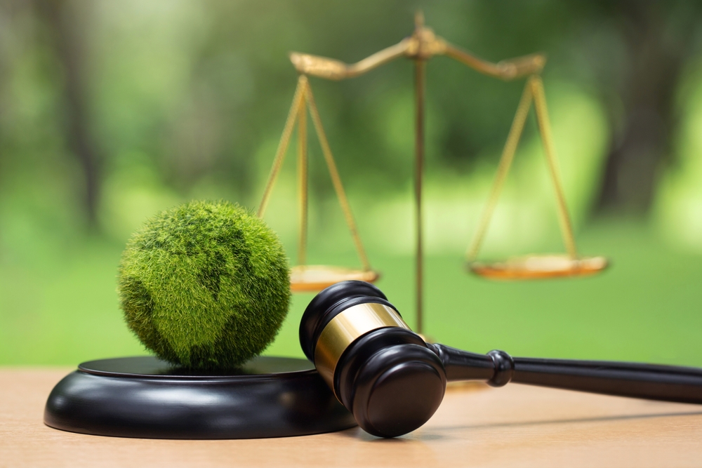 Climate Crimes in the Sustainability Transition