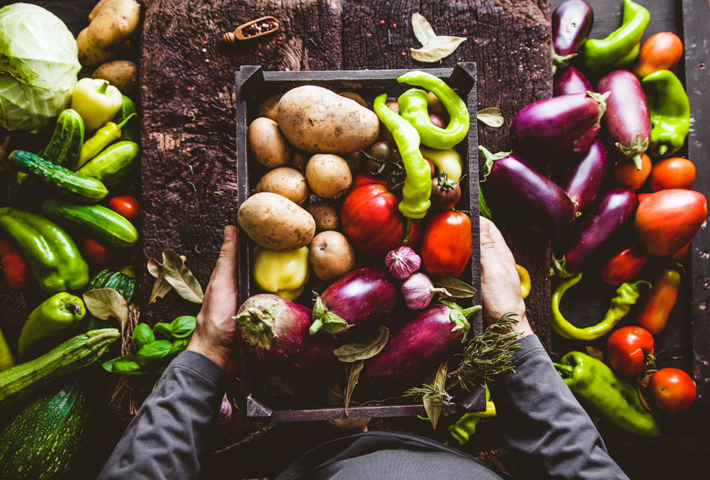 Groenten in moestuin