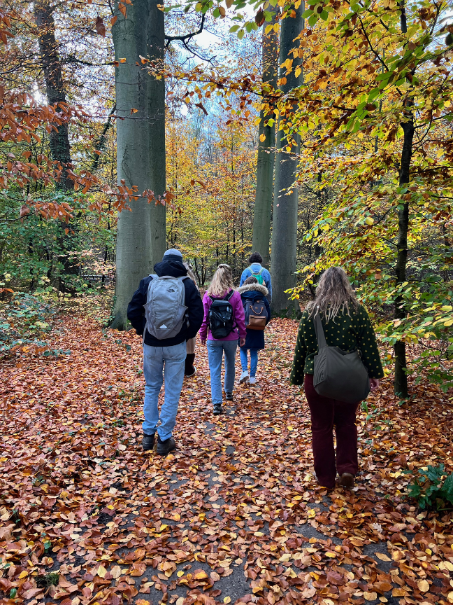regeneratieve pedagogiek